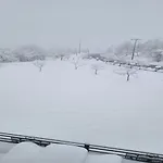 Nikelli 3*