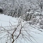 Nikelli