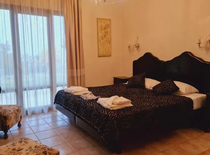 Nikelli 埃拉托克里昂