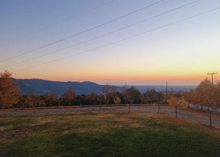 Nikelli 埃拉托克里昂