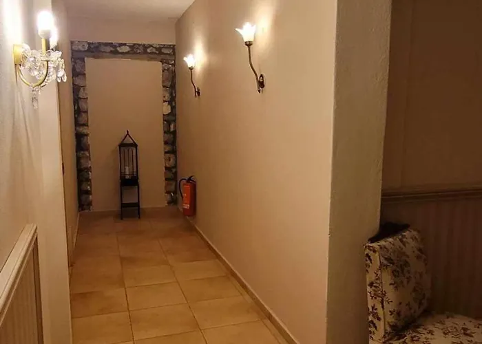 Nikelli 3* 埃拉托克里昂